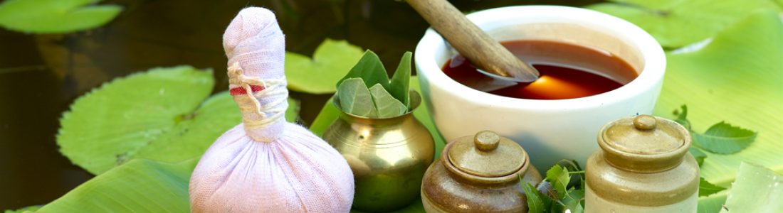 O AYURVEDA: UMA MUDANÇA DE PARADIGMA O AYURVEDA: UMA MUDANÇA DE PARADIGMA